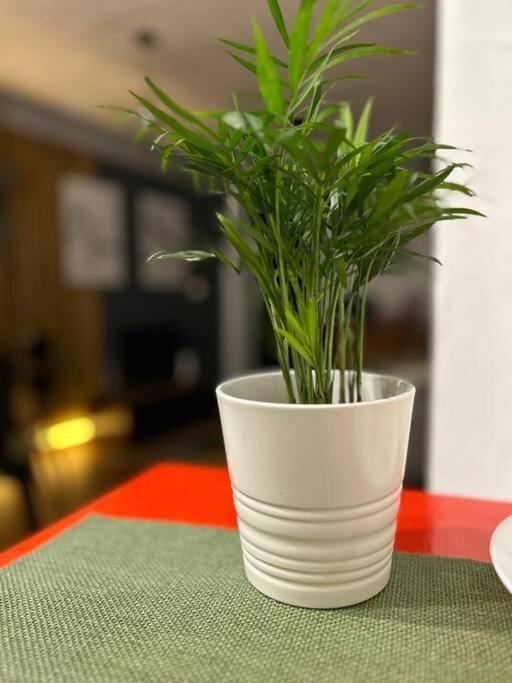 Apartament Loft Centro Santander Zewnętrze zdjęcie